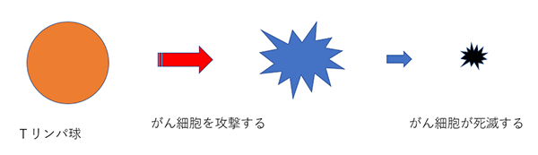 がんの免疫監視機構イメージ