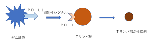 がんの免疫抑制機構イメージ